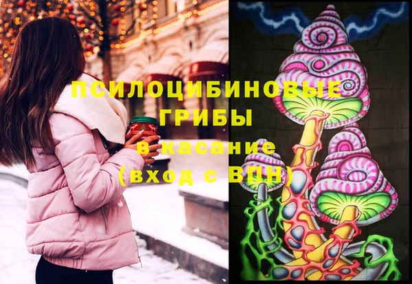 дмт Армянск