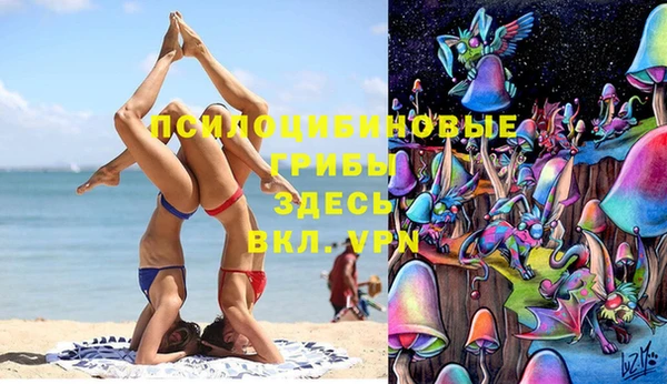 амф Ростов